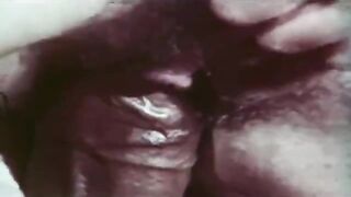 Vintage Interracial 3 (Leslie Bovee)